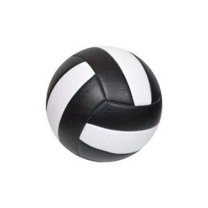 Professional Match Volleyball - Buy Online Doha Qatar