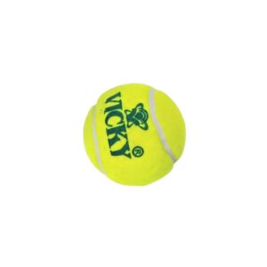 Buy Vickey Hard Tennis Cricket Ball in Doha, Qatar