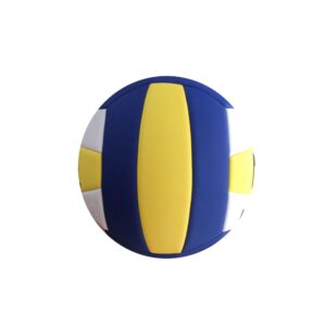 PVC Youth Training Volleyball